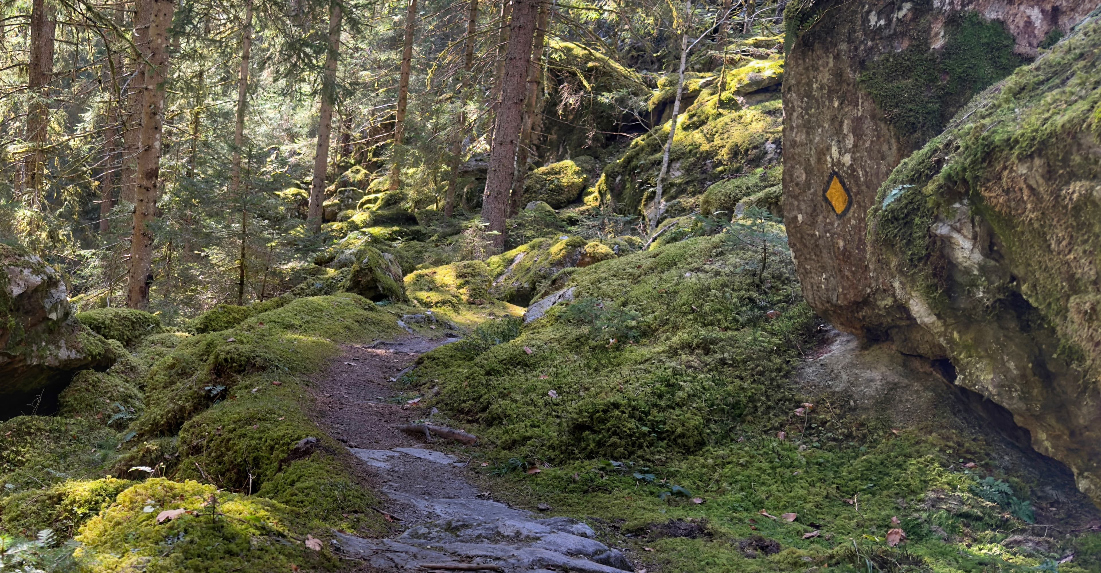 Gorges du Trient