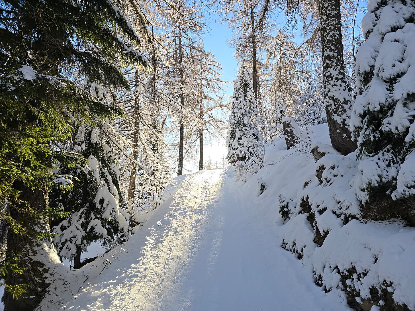 Ovronnaz - Petit-Pré